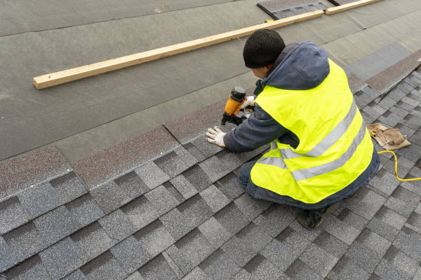 Best Metal Roofing Contractor  in Flint, MI